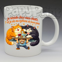 Mug Humoristique/Animaux - "Je réside chez mes chats et je vis au rythme de leurs pas" (en Céramique 350ml)