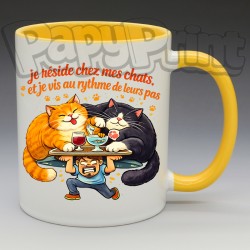 Mug Humoristique/Animaux - "Je réside chez mes chats et je vis au rythme de leurs pas" (en Céramique 350ml)