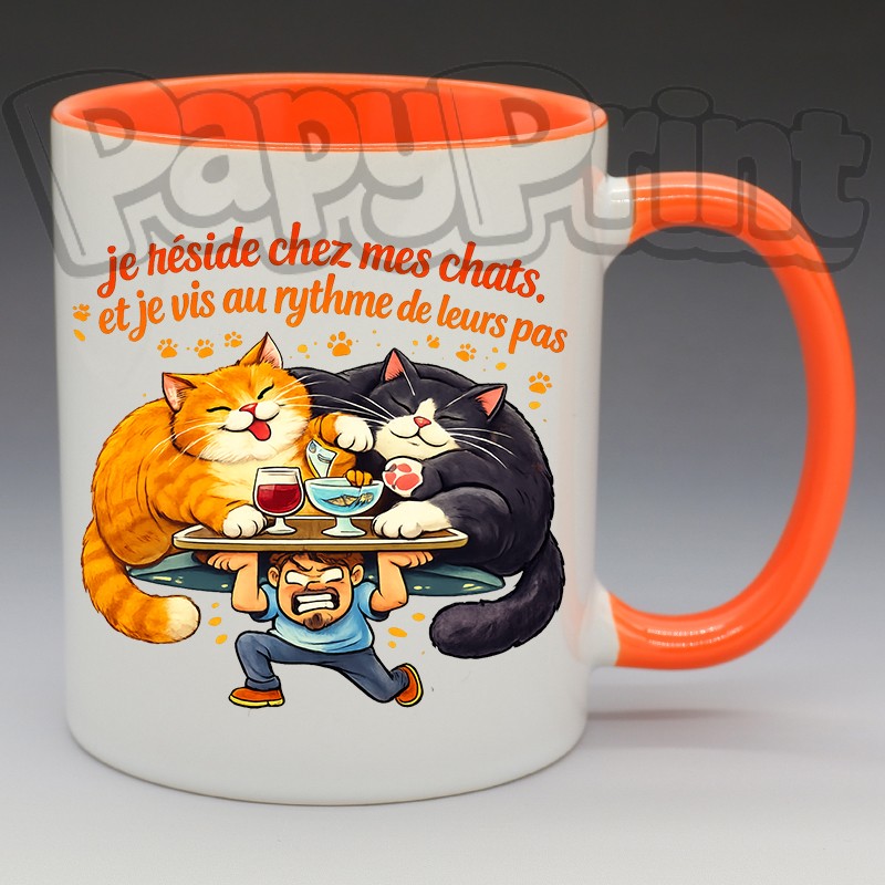 Mug Humoristique/Animaux - "Je réside chez mes chats et je vis au rythme de leurs pas" (en Céramique 350ml)