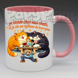 Mug Humoristique/Animaux - "Je réside chez mes chats et je vis au rythme de leurs pas" (en Céramique 350ml)