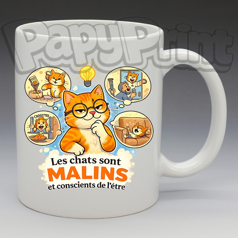 Mug Humoristique/Animaux - "Les chats sont malins, et conscient de l'être" (en Céramique 350ml)
