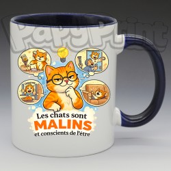 Mug Humoristique/Animaux - "Les chats sont malins, et conscient de l'être" (en Céramique 350ml)
