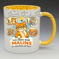 Mug Humoristique/Animaux - "Les chats sont malins, et conscient de l'être" (en Céramique 350ml)