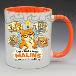 Mug Humoristique/Animaux - "Les chats sont malins, et conscient de l'être" (en Céramique 350ml)