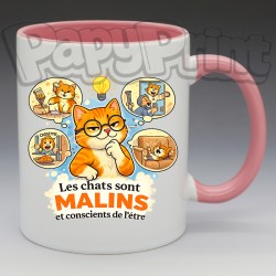 Mug Humoristique/Animaux - "Les chats sont malins, et conscient de l'être" (en Céramique 350ml)