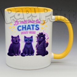 Mug "La nuit tous les chats sont gris" | Papy Print