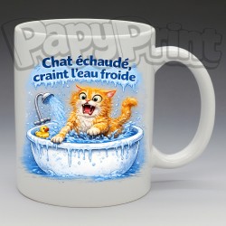 Mug Humoristique/Animaux - "Chat échaudé, craint l'eau froide" (en Céramique 350ml)