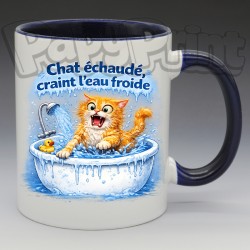 Mug Humoristique/Animaux - "Chat échaudé, craint l'eau froide" (en Céramique 350ml)