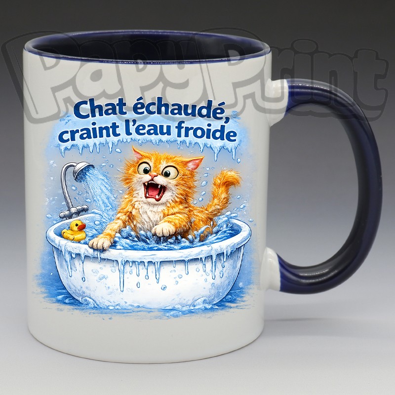 Mug Humoristique/Animaux - "Chat échaudé, craint l'eau froide" (en Céramique 350ml)