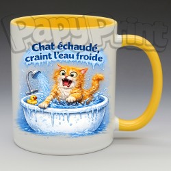 Mug Humoristique/Animaux - "Chat échaudé, craint l'eau froide" (en Céramique 350ml)