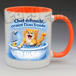 Mug Humoristique/Animaux - "Chat échaudé, craint l'eau froide" (en Céramique 350ml)