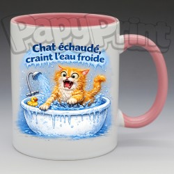 Mug Humoristique/Animaux - "Chat échaudé, craint l'eau froide" (en Céramique 350ml)