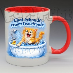 Mug Humoristique/Animaux - "Chat échaudé, craint l'eau froide" (en Céramique 350ml)